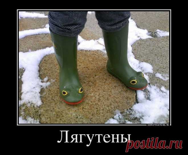 Спорил с женой до хрипоты.