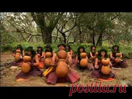 Ipu by Halau O Kekuhi