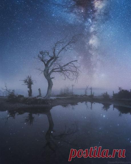 Dreamy night