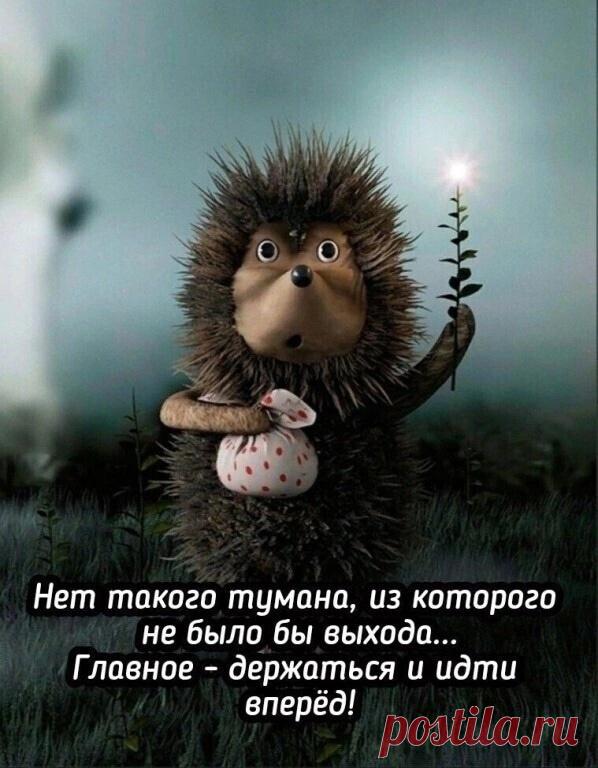 ЁЖИК В ТУМАНЕ