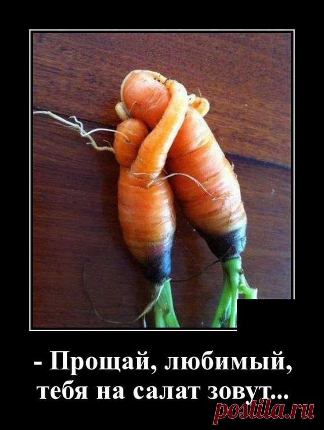 Выпуск №6538 - выпуск анекдотов сайта вокруг смеха