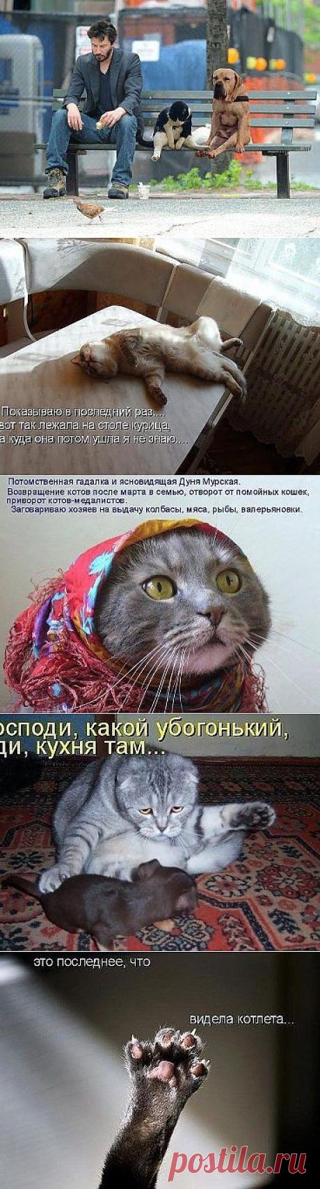 (44) Одноклассники