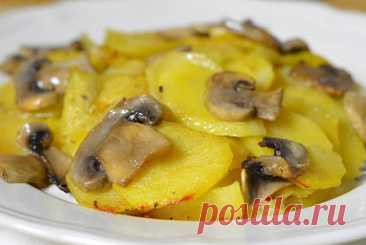 Картофель в сливках с грибами — Моя кухня