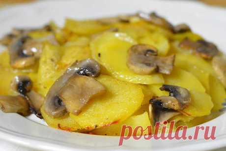 Картофель в сливках с грибами — Моя кухня