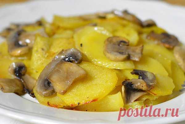 Картофель в сливках с грибами — Моя кухня