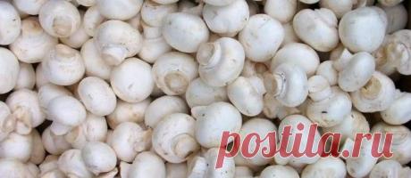 Маринованные шампиньоны за 10 минут! Рецепт не оставит равнодушным никого!