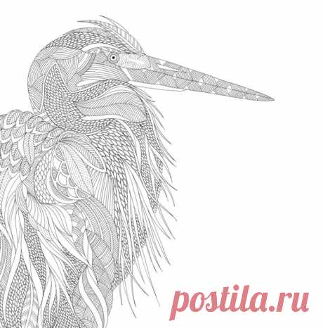 Gallery.ru / Фото #21 - 1 - tymannost