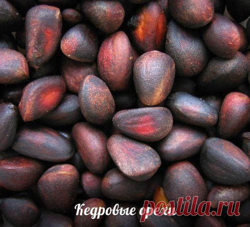Кедровые орехи