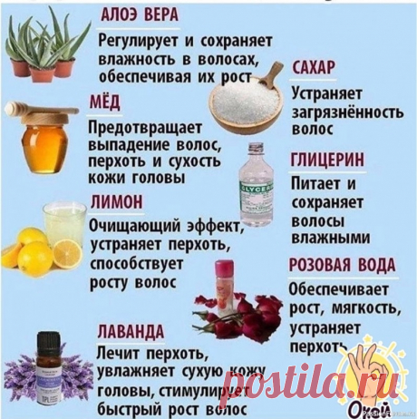 Новое в сообществах PassionForum от 19 июля