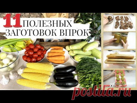 11 ПОЛЕЗНЫХ ЗАГОТОВОК ДЛЯ ВСЕЙ СЕМЬИ🔥СУШКА/ЗАМОРОЗКА/ЗАКРУТКИ НА ОСЕНЬ🔥ДЕГИДРАТОР OBERHOF В-53