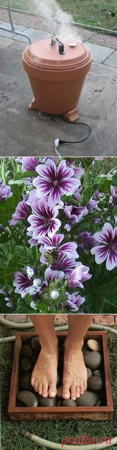 Пины с сайта natureb4.com в Pinterest