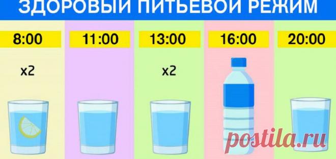 График для худеющих: ешь что хочешь и пей воду по часам. Результат — минус 15 % жира!
Плохое самочувствие и головные боли мы объясняем усталостью и проблемами на работе, запиваем таблетками, заедаем вкусностями, когда нужно просто выпить стакан обычной воды. Да, многих это удивляет, а ведь в большинстве случаев причина очень банальна — нехватка воды, на которую организм реагирует очень остро....
Читай пост далее на сайте. Жми ⏫ссылку выше