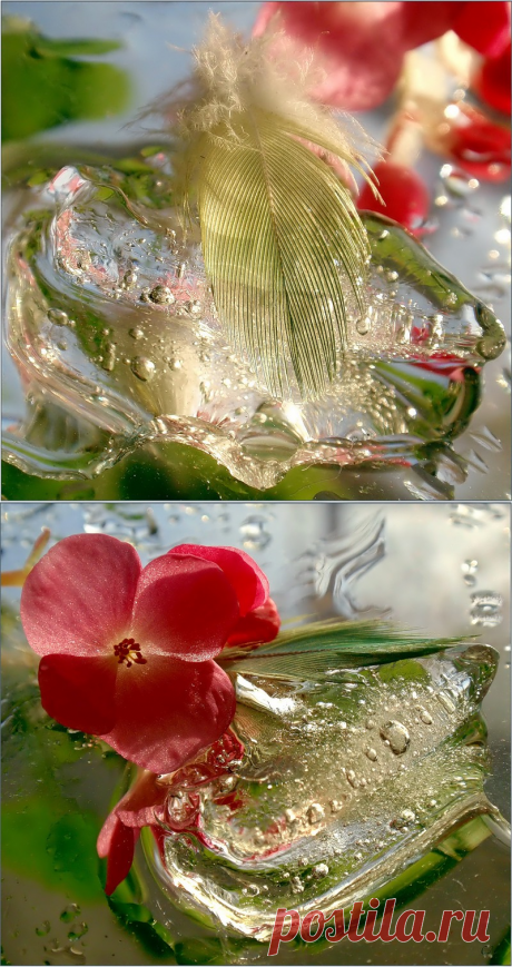 Яндекс.Фотки
