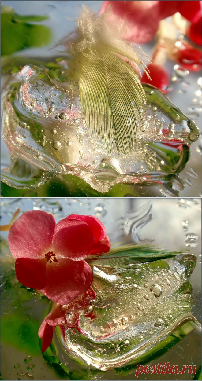 Яндекс.Фотки