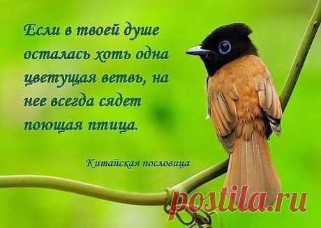 Эта-одна цветущая ветвь. и притягивает!  Пусть у нас будет побольше таких веток..и пусть они подольше цветут!