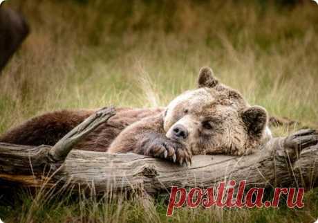Gallery - Группы Мой Мир