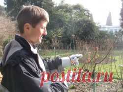 Сезонные работы в саду и огороде: конец февраля - начало марта - "Огород без хлопот" - natasha_5656@mail.ru - Почта Mail.Ru