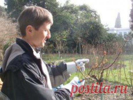 Сезонные работы в саду и огороде: конец февраля - начало марта - &quot;Огород без хлопот&quot; - natasha_5656@mail.ru - Почта Mail.Ru