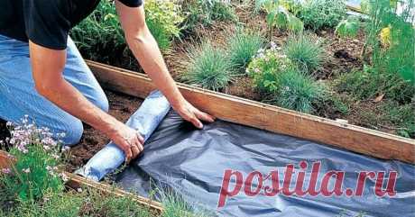 Еще один вклад в участок мечты -- садовая дорожка, которая переживет все летние грозы Рассказываем, как сделать дорожки в саду, причем быстро и без больших денежных затрат, буквально из подручных материалов.



Сделать такие дорожки в саду своими руками несложно, эти незамысловатые тро…