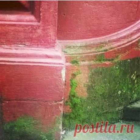 Просто, дешево и полезно!