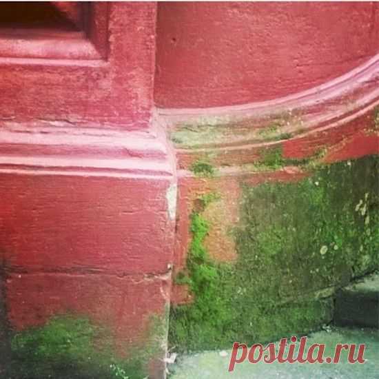 Просто, дешево и полезно!