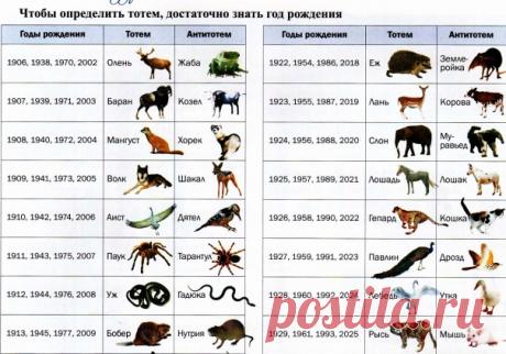 Ваш зороастрийский тотем (ваше животное-покровитель). Краткое описание - verba_verba