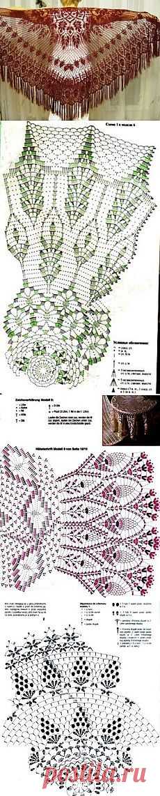 (76) Pinterest