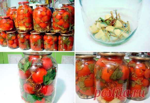 Помидоры маринованные, пряные — Дачный участок