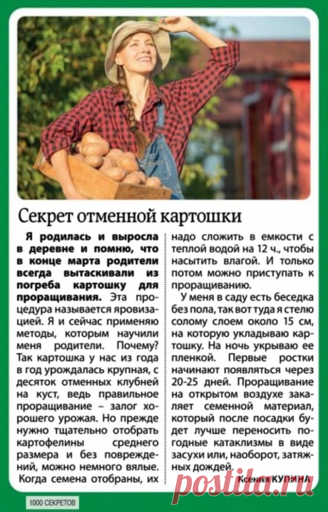 Секрет отменной картошки