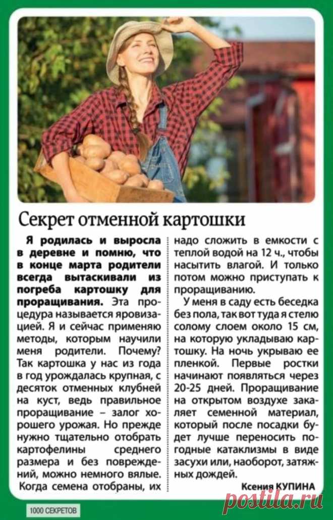 Секрет отменной картошки