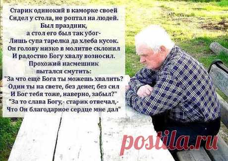 Дорогие мои старики.