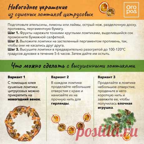 Новогоднее украшение из сушеных ломтиков цитрусовых