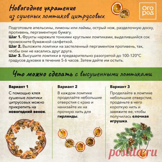 Новогоднее украшение из сушеных ломтиков цитрусовых