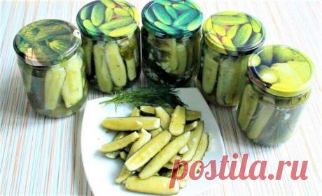 Салаты из огурцов на зиму пальчики оближешь: самые вкусные рецепты | Народные знания от Кравченко Анатолия