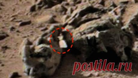 Топ-7 самых нелепых «находок ученых» на Марсе :: Imenno.ru