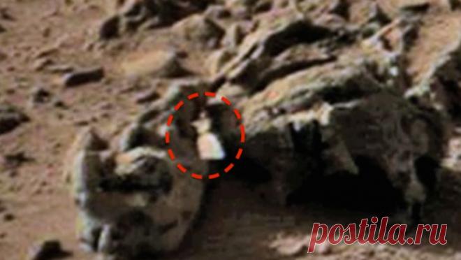 Топ-7 самых нелепых «находок ученых» на Марсе :: Imenno.ru