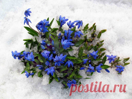 Приглашаю на удаленную работу в сети интернет, 2-4 часа в день, в удобное для вас время, доход постоянно растет.
Лично под свою опеку возьму 5 человек. 
Условия: размещение рекламы на интернет площадках, 
Онлайн консультирование клиентов по моим шаблонам. 
ставьте + в комментариях, дам информацию.