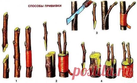 "Дачный мир"