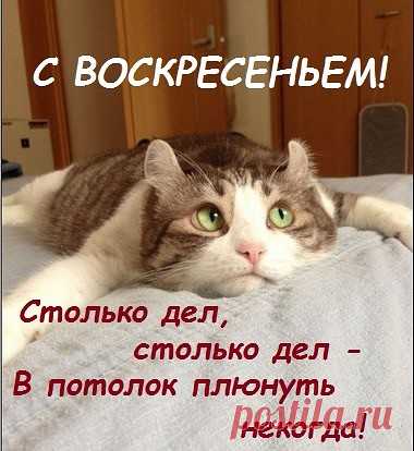 • *¨`* •. ¸ • *¨`* •.¸