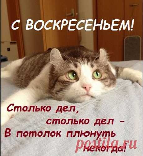 • *¨`* •. ¸ • *¨`* •.¸