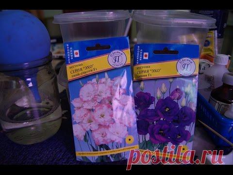 СЕЕМ ЭУСТОМУ  В КОКОСОВЫЙ СУБСТРАТ, ОБЗОР ПЕРЧИКА И БАКЛАЖАН, ◐ Подписаться на новые видео: http://goo.gl/9nTdPX◐ Реклама: https://vk.com/cookingelena?w=page-118743920_50287919