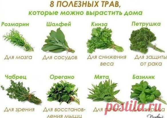 (12) Мой Мир@Mail.Ru
