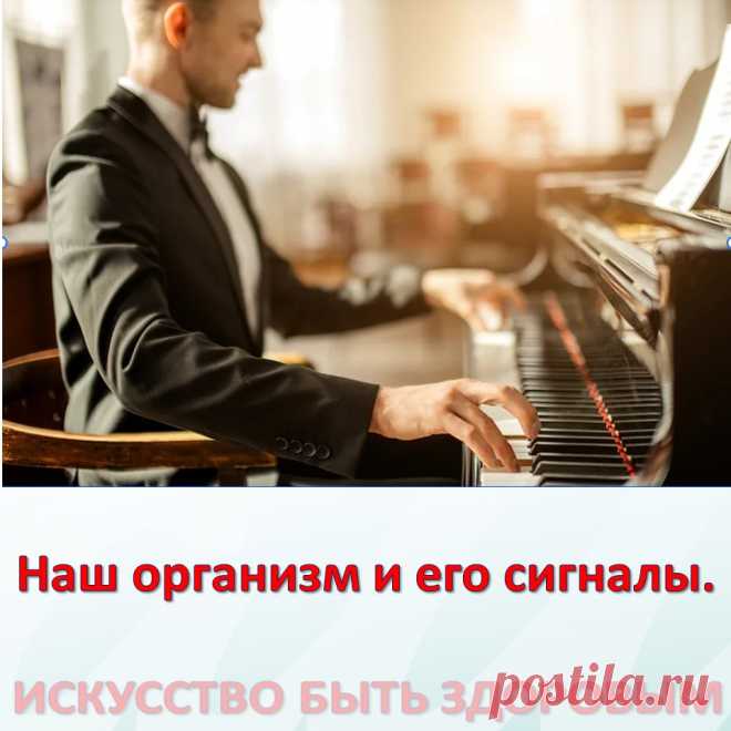 Наш организм и его сигналы.
Врачи уверены, что в нашем организме «вдруг» ничего не бывает. И даже малейшие изменения в нашей внешности утром говорят о том, что со здоровьем что-то пошло не так… 
Мало кто из нас подвергается регулярному медосмотру. Но предупредительные сигналы организма о начинающихся неполадках мы можем рассмотреть сами на открытых участках собственного тела.