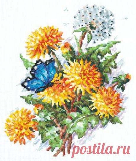 Такие разные цветы...