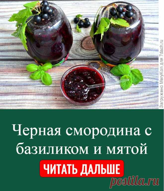 Черная смородина с базиликом и мятой