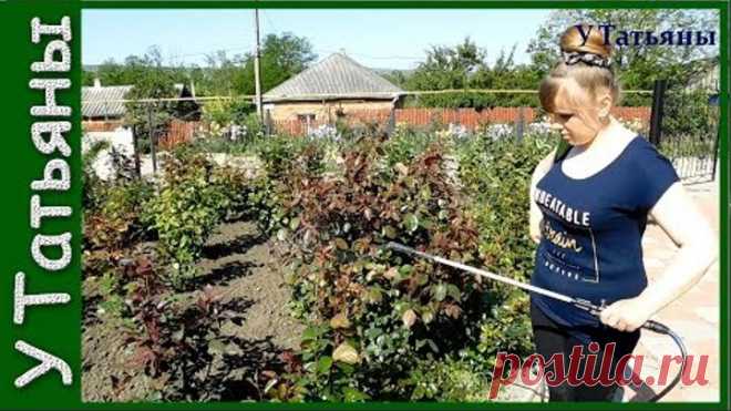 НАШАТЫРНЫЙ СПИРТ от ТЛИ на розах, плодовых деревьях, кустарниках и других растениях!