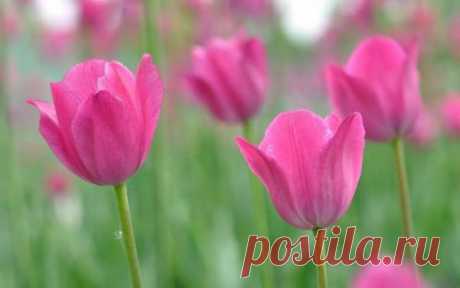 (2) Facebook