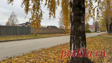 «СЕНТЯБРЬ-ОКТЯБРЬ- будут как СТРАШНЫЙ СОН»-ПОХОЛОДАНИЕ С ДОЖДЯМИ- Синоптики
