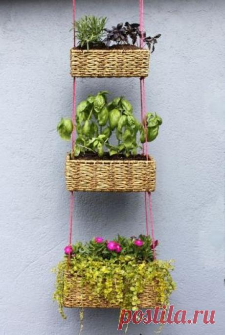 Как сделать вертикальный сад - Садоводка