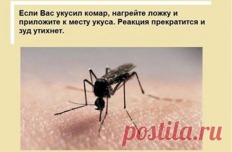 полезные советы))))) / Болталка / Разговоры на любые темы